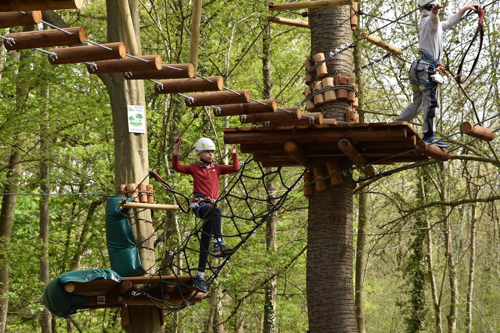 activite accrobranche gite belgique cerfontaine