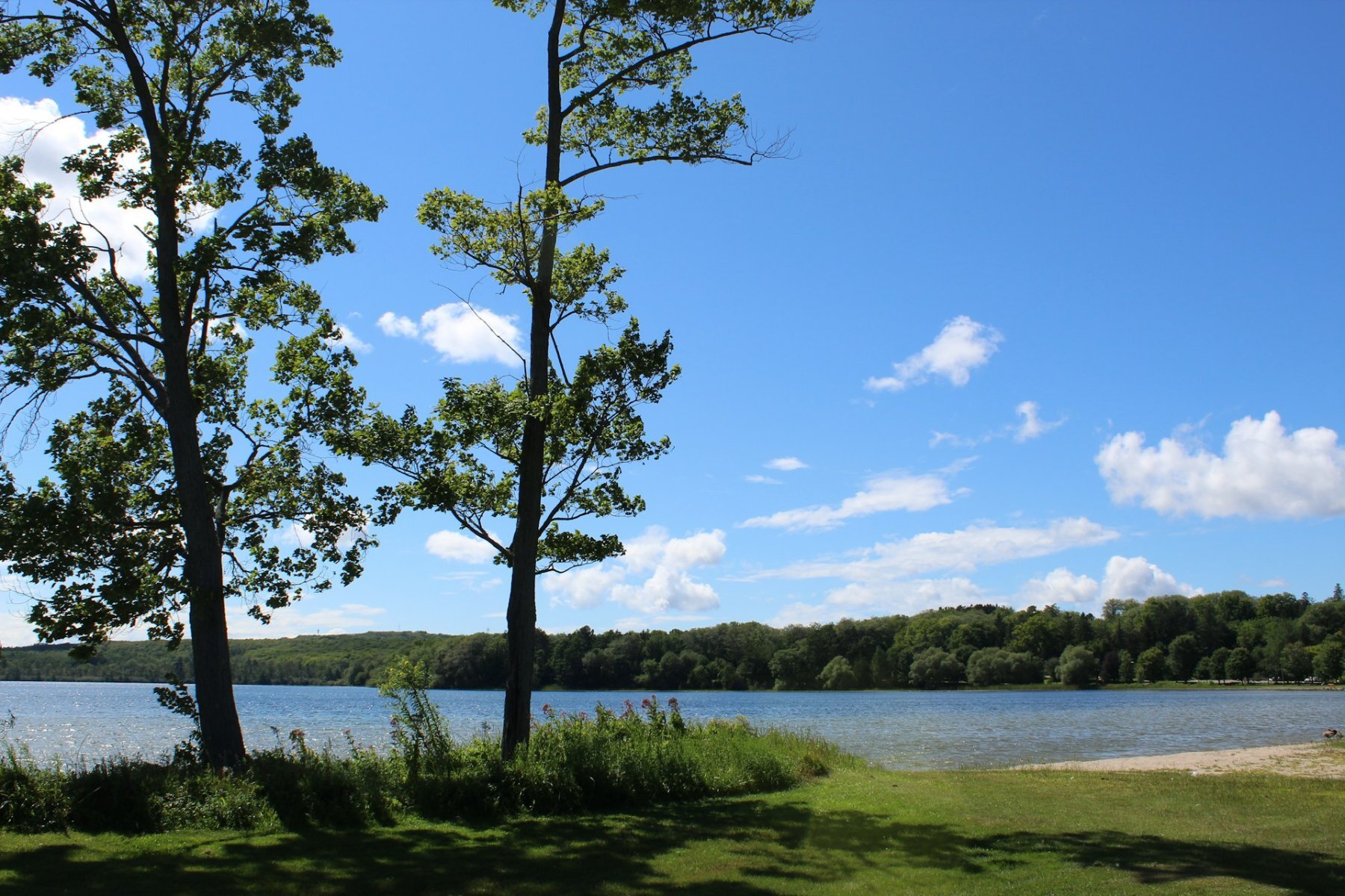 plage lac gite belgique
